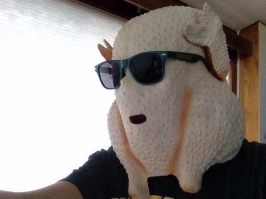 image.jpg