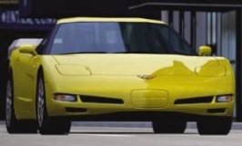 vette2.jpg