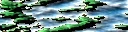 hoge2.webp