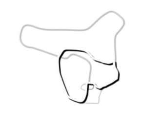outline.webp