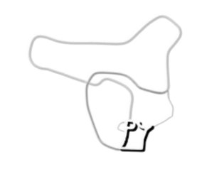 outline.webp