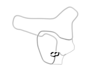outline.webp