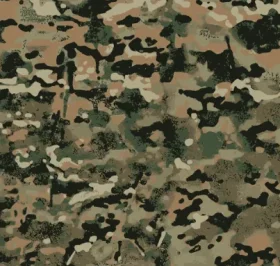 Camo.webp