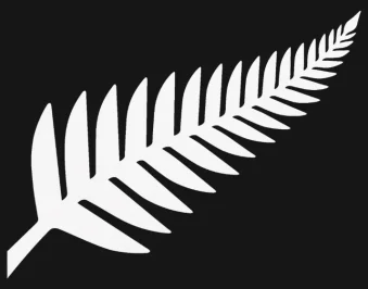 silver fern proper.webp