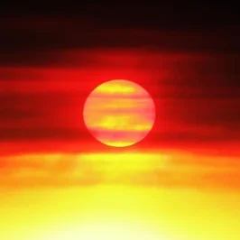 1GGY4-e1598150525117.webp 1GGY4-e1598150525117.webp