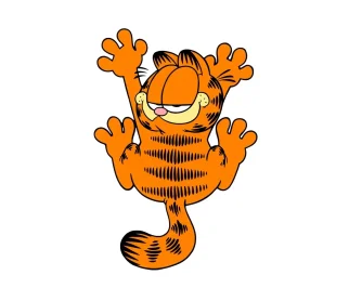 image-30.webp