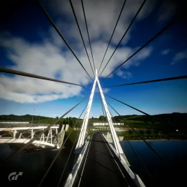 High Speed Ring Reverse__1.webp