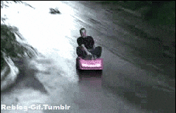 IMG_4474.gif