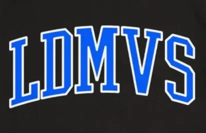 LDMVS.webp