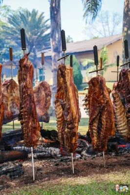 fogodechao3.webp