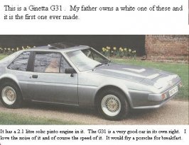 ginneta g31.jpg