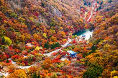 koreafall2.webp