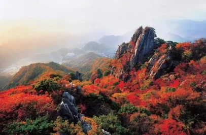 koreafall3.webp