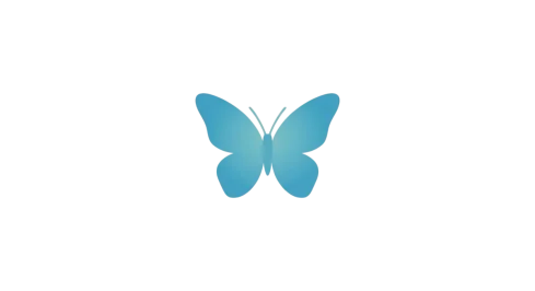 Butterfly 1.webp