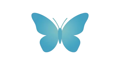 Butterfly 2.webp