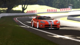 Deep Forest Raceway_6.jpg