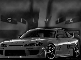 silvia_junauto_1024.jpg