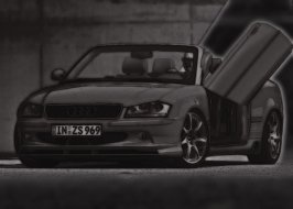 s4-chopped2.jpg