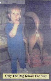 zwhymenshouldn_tbabysit.jpg