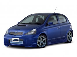 vitz.jpg