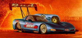 turbinevette.jpg