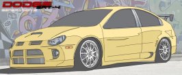 srt toon-sml.jpg