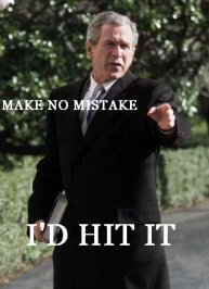 hititbush_001.jpg