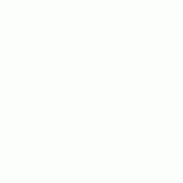 600.gif