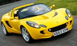 yellow-012.jpg