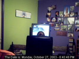webcam[1].jpg