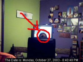 webcam[2].jpg