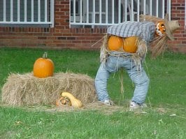 happyhalloween.jpg