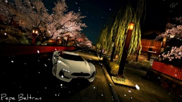 Kyoto - Gion_60.jpg