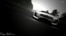 N++rburgring 24h_28(1).jpg