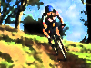 bikeforest.jpg