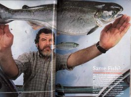 fish.jpg