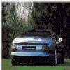 kyppo1.gif