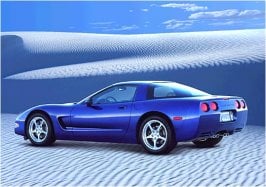 'vette.jpg