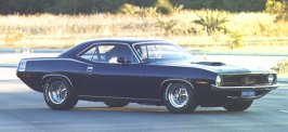 barracuda.jpg