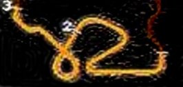 19autumn-ring-special_stage_race.jpg