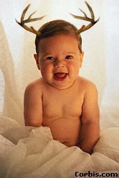 deerbaby.jpg