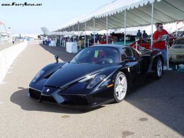 black-enzo.jpg