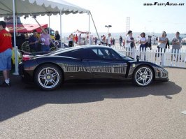 black-enzo-001.jpg
