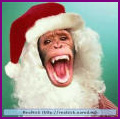 monkey.jpg