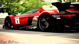 Circuit de la Sarthe 2009_41.jpg