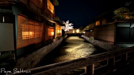 Kyoto - Gion_20.jpg