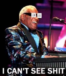 raycharlesicanntsee****.jpg