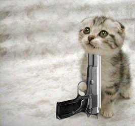 dierenleed.jpg