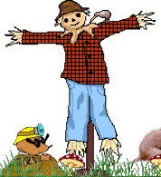 image1.gif