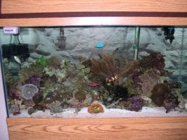 fishtank01.jpg